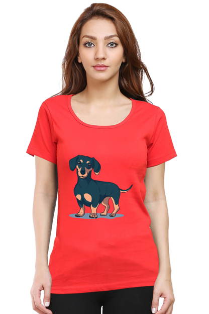 Dachshund