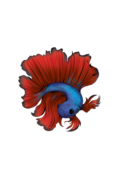 Betta Fish Illustration