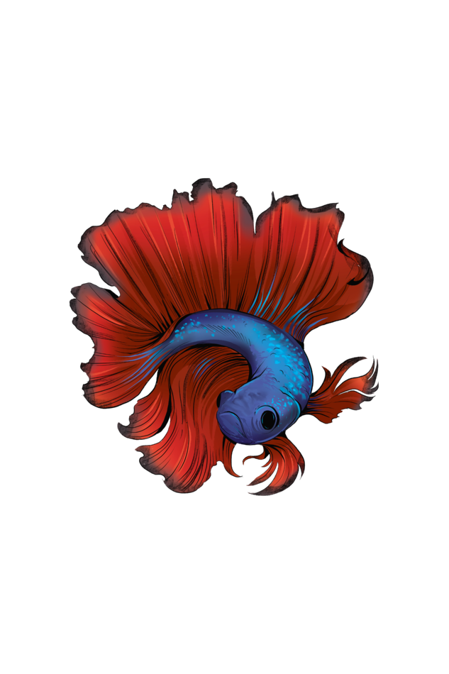 Betta Fish Illustration