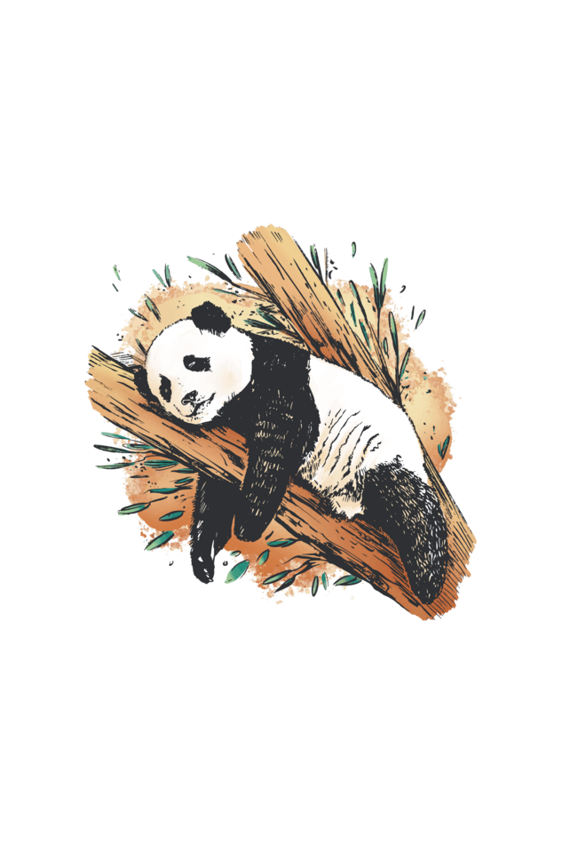 Sleeping Panda Supima T-Shirt