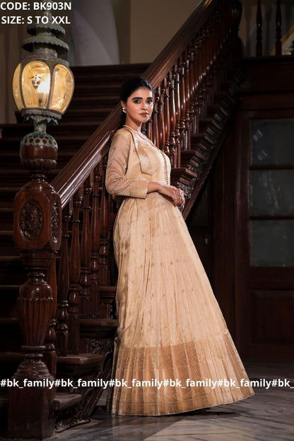 Nainika Zari Tissue Dress in Golden